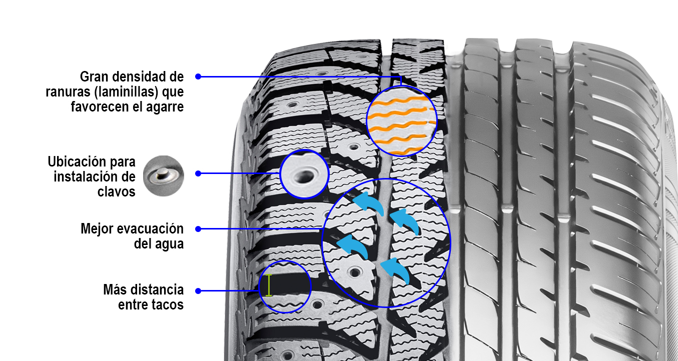 montar peor oportunidad Cuál es la diferencia entre los neumáticos de verano y los de invierno? |  Lubrimed